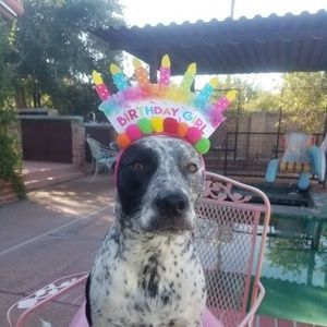 Meet your Posher, Carolchristine